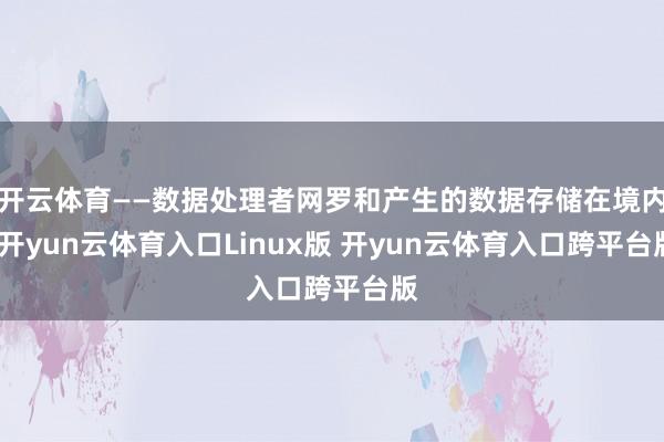 开云体育——数据处理者网罗和产生的数据存储在境内-开yun云体育入口Linux版 开yun云体育入口跨平台版